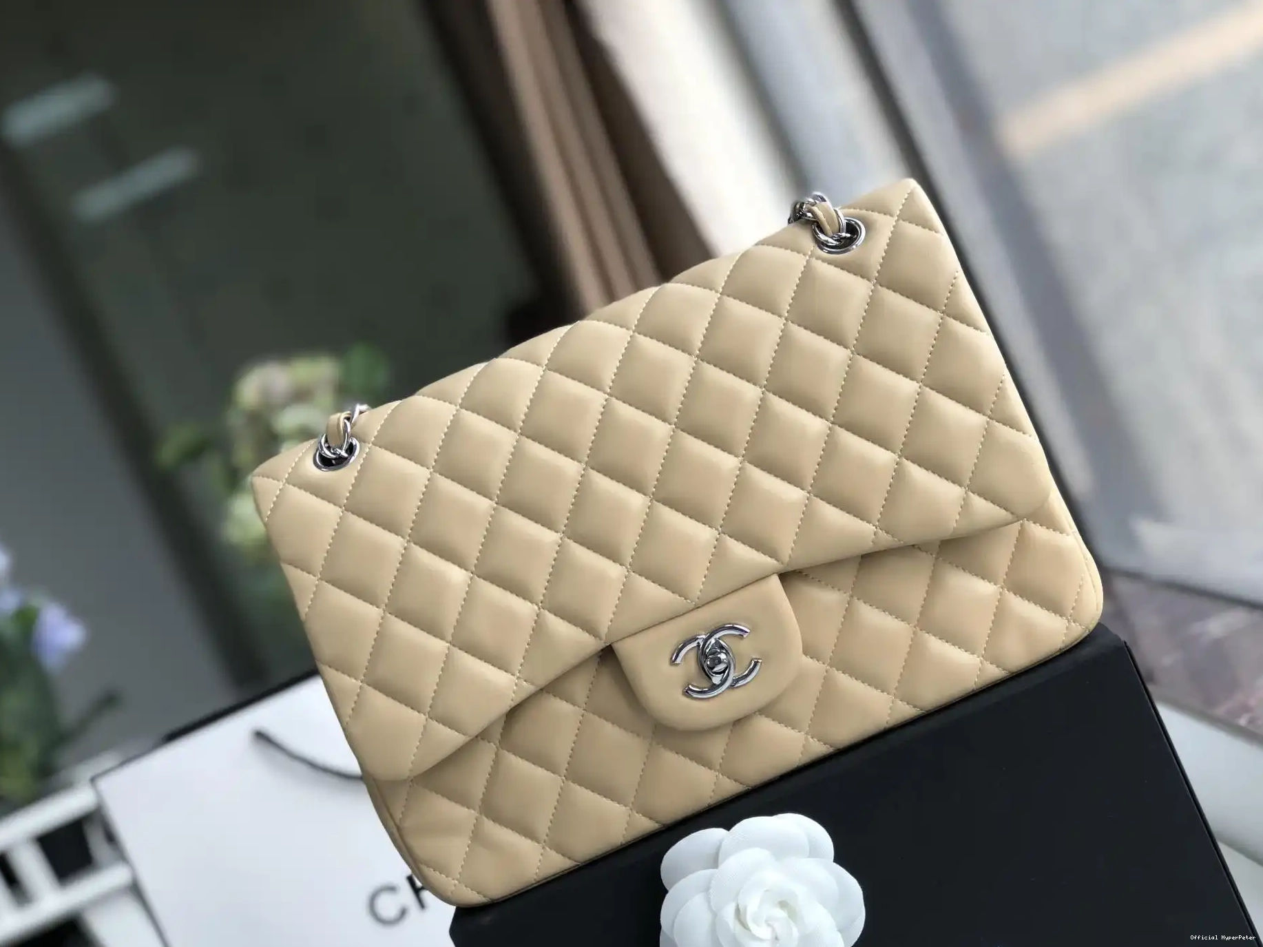 Hyper Peter FLAP BAG CHANEL 30CM 0519